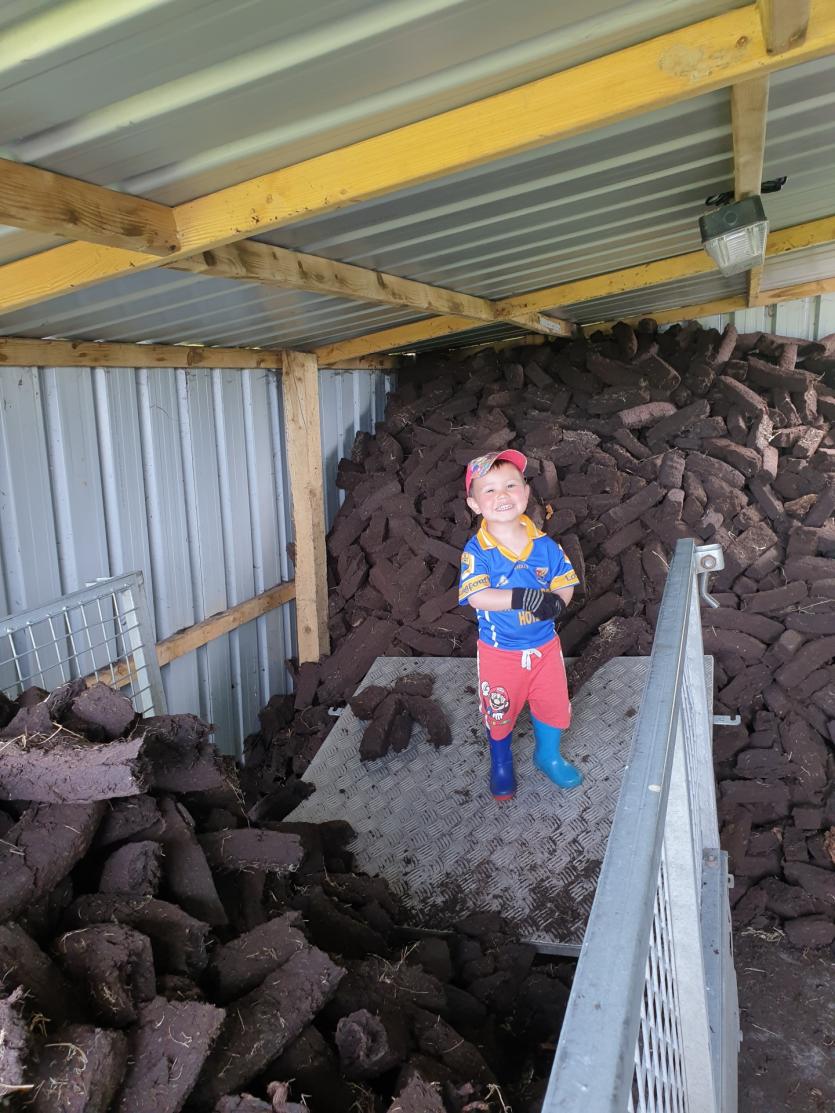 GALLERY 4 | The joys of working on Longford's Costa Del Sod