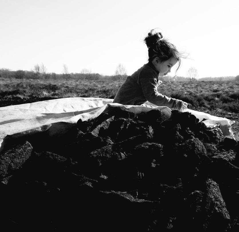 GALLERY 4 | The joys of working on Longford's Costa Del Sod
