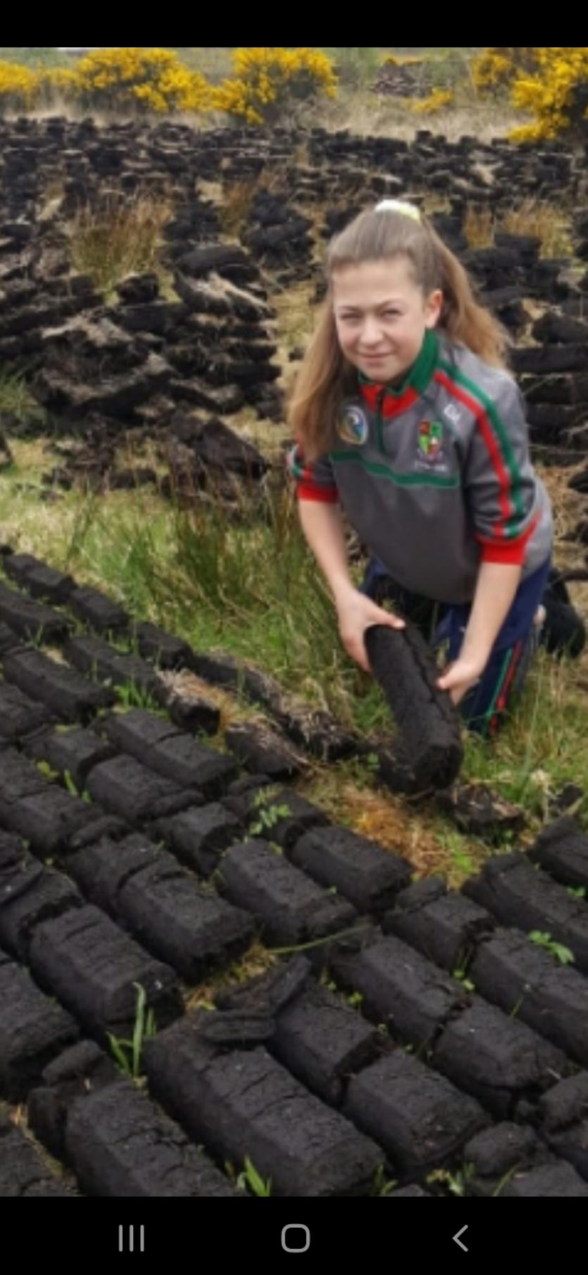 GALLERY 4 | The joys of working on Longford's Costa Del Sod