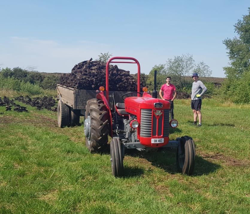 GALLERY 5 | Busy time for Murray triplets from Killoe helping Dad on Longford's Costa Del Sod