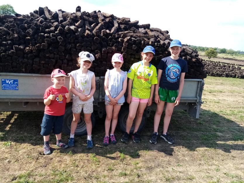 GALLERY 5 | Busy time for Murray triplets from Killoe helping Dad on Longford's Costa Del Sod