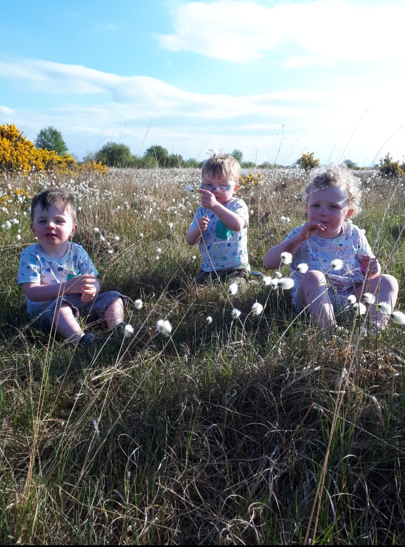 GALLERY 5 | Busy time for Murray triplets from Killoe helping Dad on Longford's Costa Del Sod