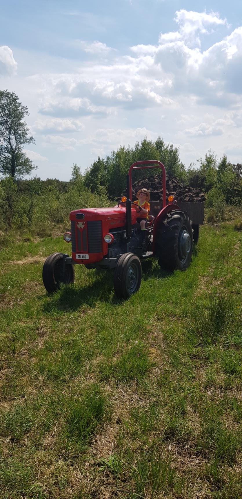 GALLERY 5 | Busy time for Murray triplets from Killoe helping Dad on Longford's Costa Del Sod
