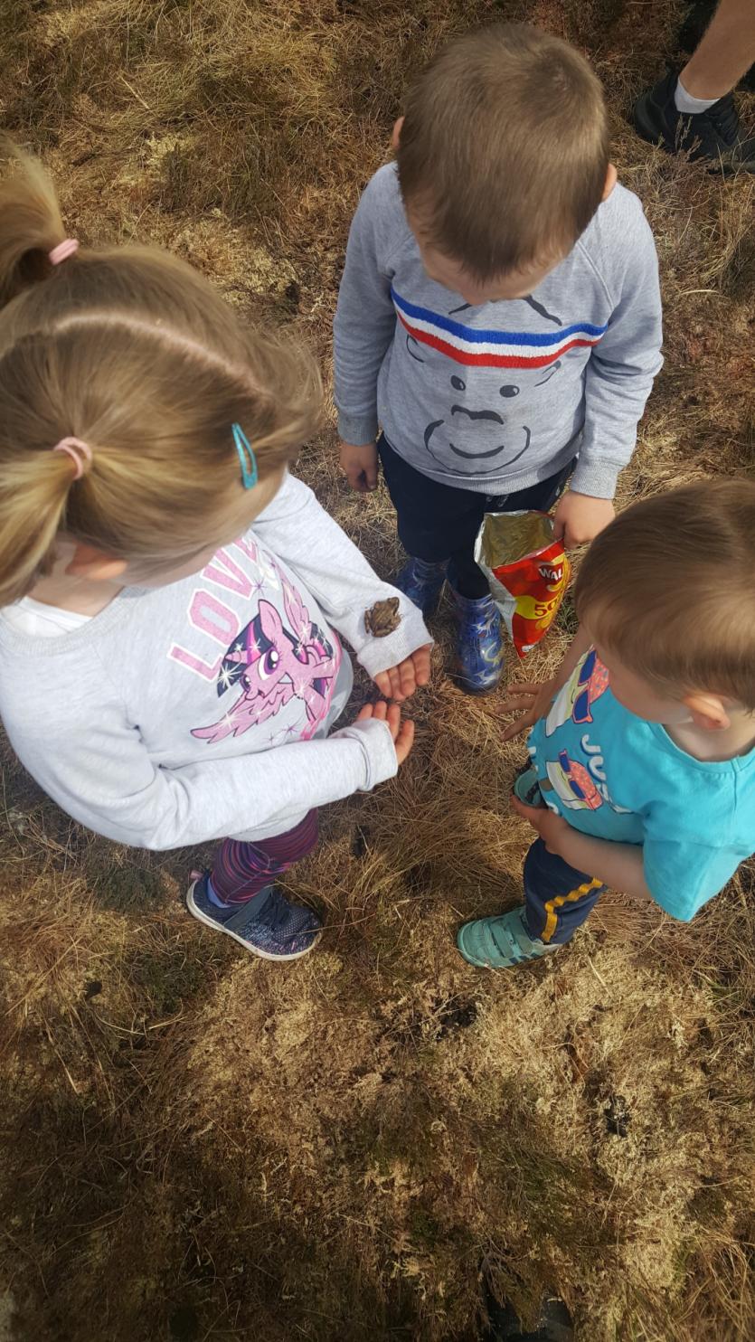 GALLERY 5 | Busy time for Murray triplets from Killoe helping Dad on Longford's Costa Del Sod