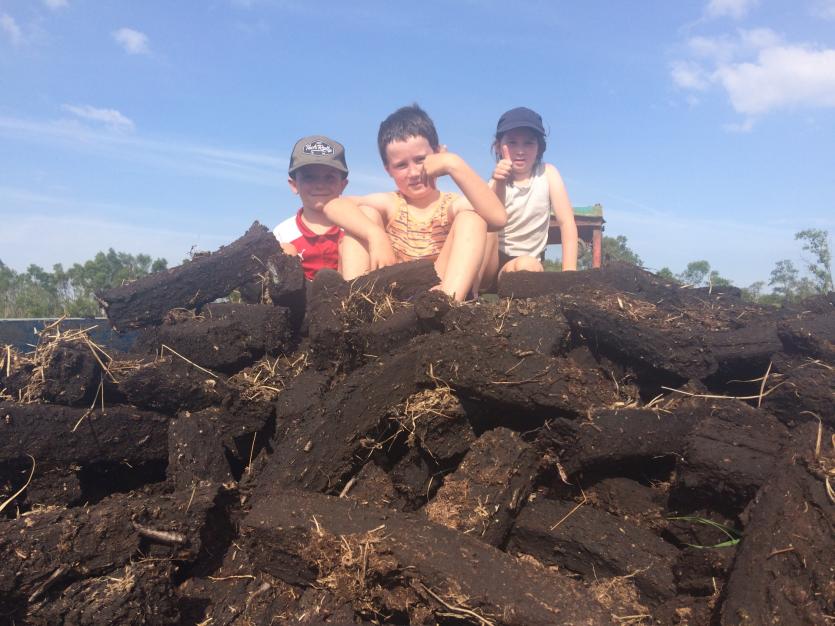 GALLERY 6 | Bringing the turf home from Longford's Costa Del Sod 