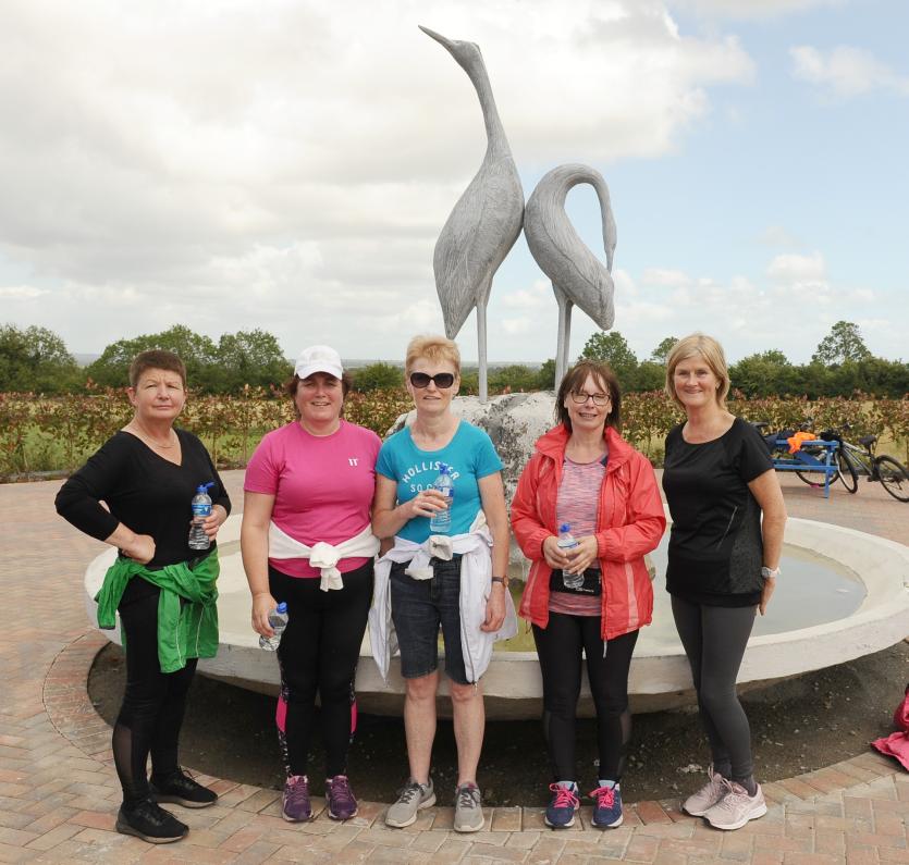 Casey family in Newtowncashel host 7km for 7 Days Challenge for Longford Hospice