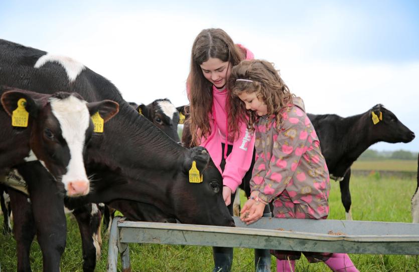 Midland Lions Clubs Hooves4Hospice fundraising project passes a major milestone