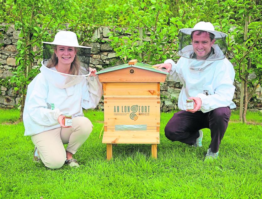Longford Bees