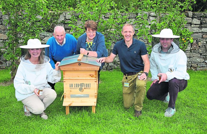 Longford Bees
