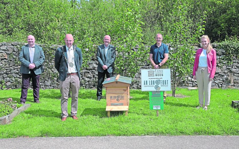Longford Bees