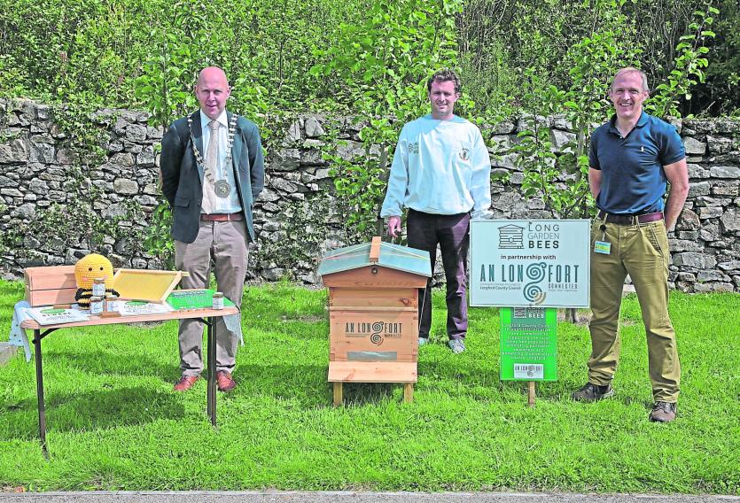 Longford Bees