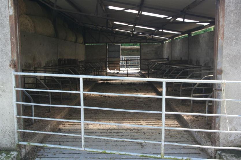 GALLERY | Superb 100 acre Longford fattening farm to be sold at auction