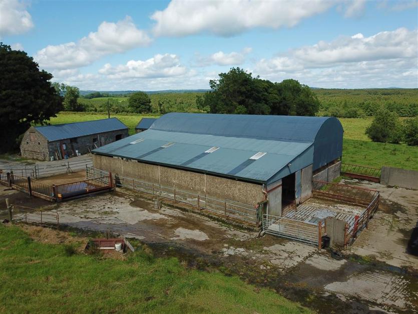 GALLERY | Superb 100 acre Longford fattening farm to be sold at auction