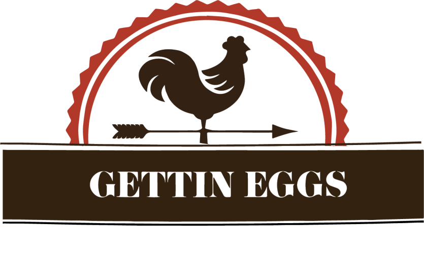 Longford student behind 'Gettin Eggs' enterprise hatches cracking plan to woo judges on world stage