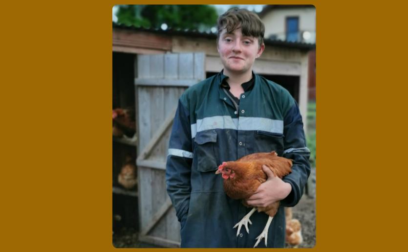 Longford student behind 'Gettin Eggs' enterprise hatches cracking plan to woo judges on world stage