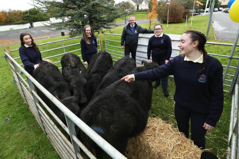 Ballymahon students presented with  Irish Angus Calves that they will rear for 18 months