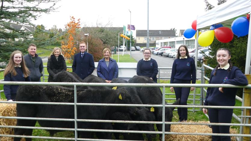 Highly regarded Ballymahon teacher retires after 37 years of service