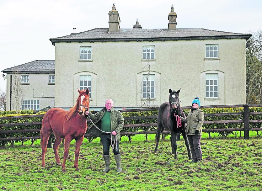 Cheltenham winner with Longford links