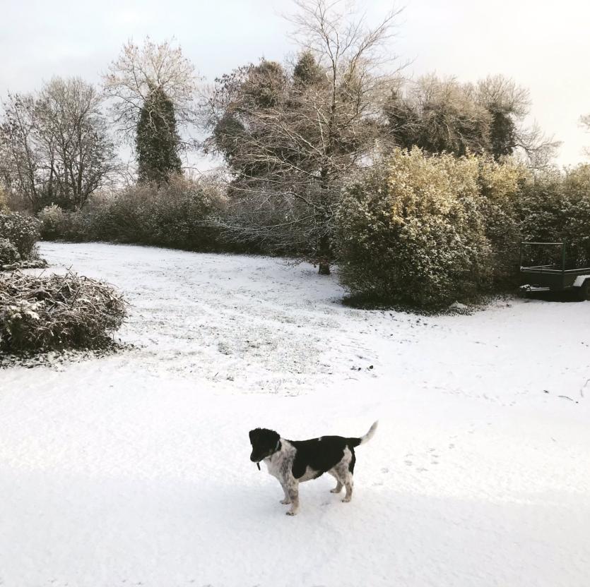 GALLERY SNOWY LONGFORD: Readers' 5km snow photos around the county #SNEACHTA #INPICTURES #SNOW