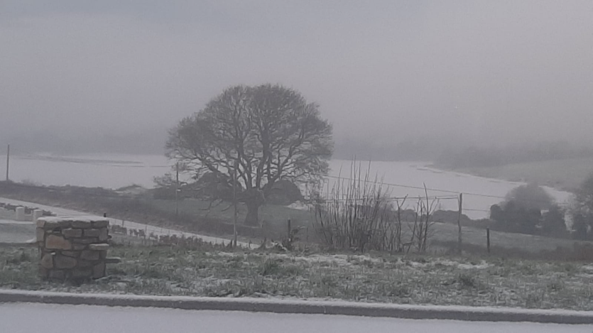 GALLERY SNOWY LONGFORD: Readers' 5km snow photos around the county #SNEACHTA #INPICTURES #SNOW