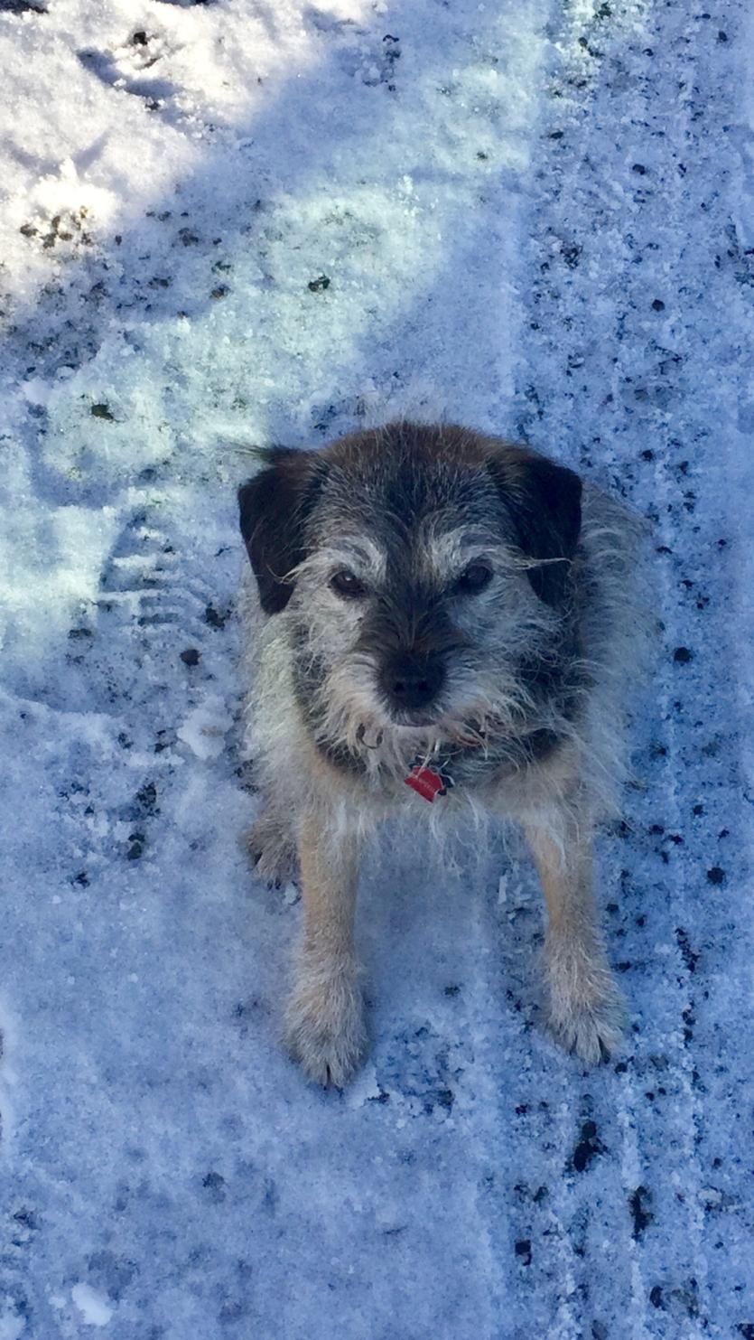 Snowy  Longford Gallery 2:  More of your great photos from across the county 