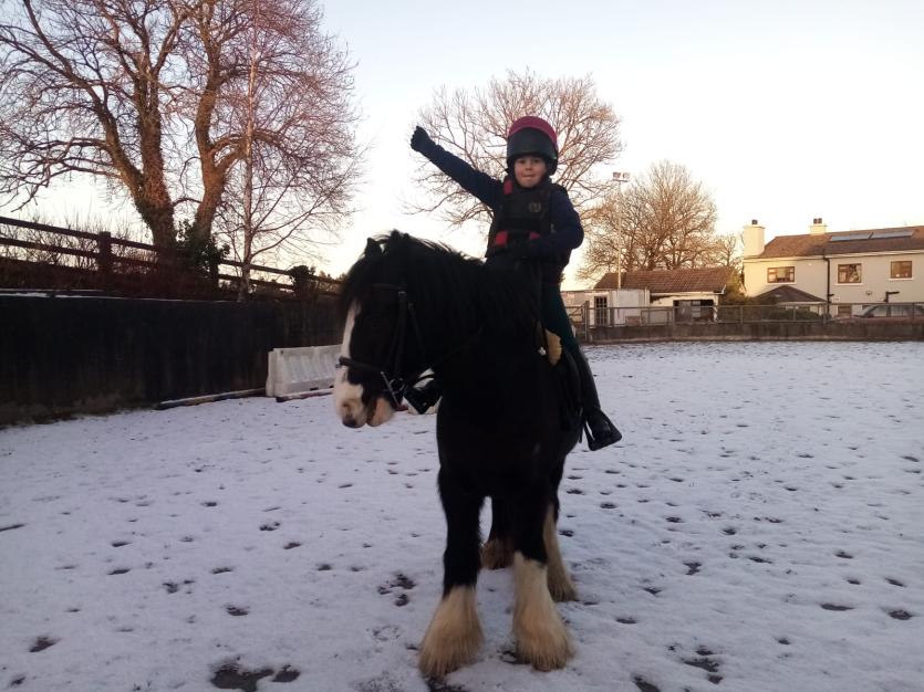 Snowy Longford Gallery 4: A selection of lovely Longford sneactha photos
