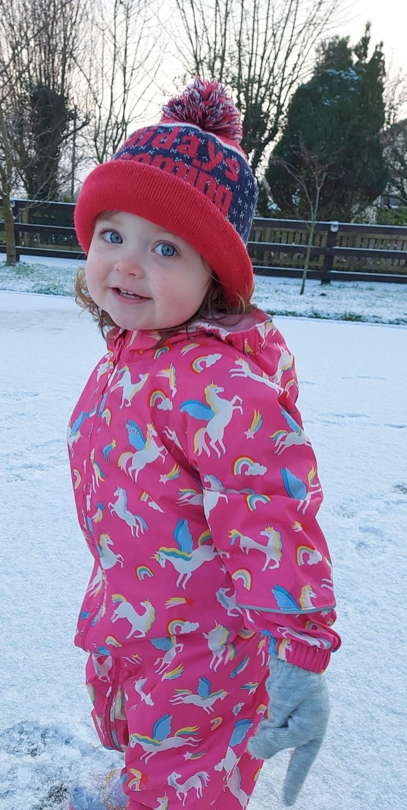 Snowy Longford Gallery 4: A selection of lovely Longford sneactha photos