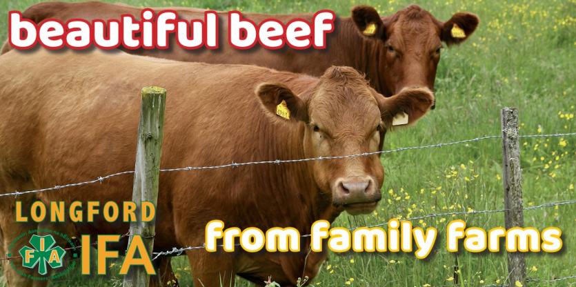 Longford IFA spearheads local family farms poster promotion