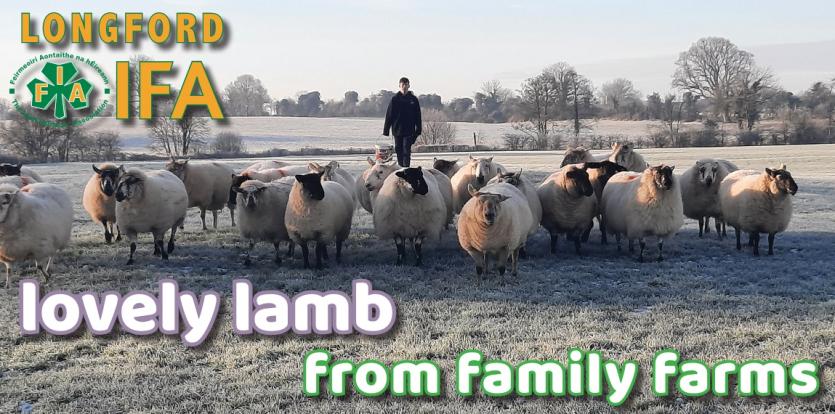 Longford IFA spearheads local family farms poster promotion