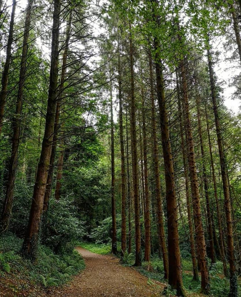 County Longford is home to numerous walking trails to enjoy