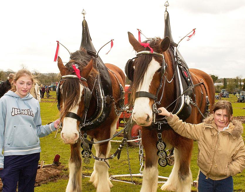 GALLERY | A trip down Memory Lane in Longford as dancing, ploughing, social occasions and GAA all feature 