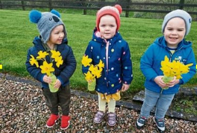 Daffodil Day