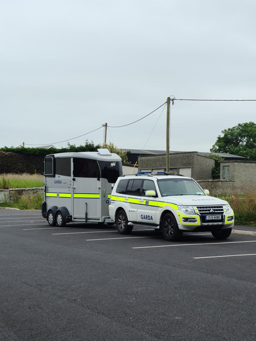 Garda Mounted Unit visits Ballymahon and Longford Photo 1 of 5