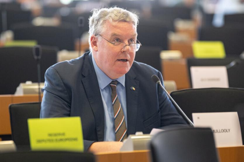 Longford MEP: Government could have acted sooner on generators ahead of Storm Éowyn