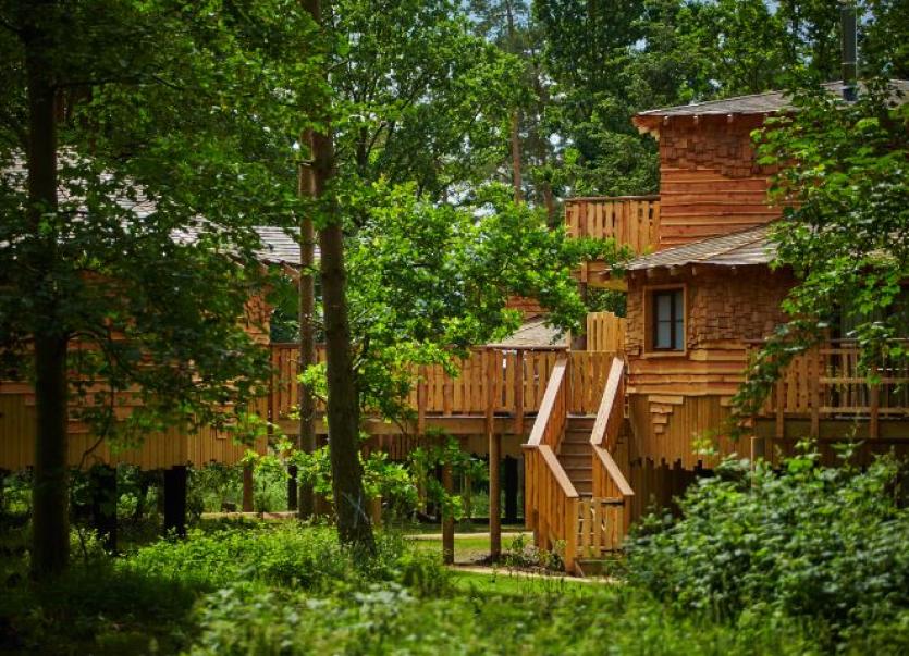 Center Parcs announce €85m expansion of Longford Forest Longford Leader