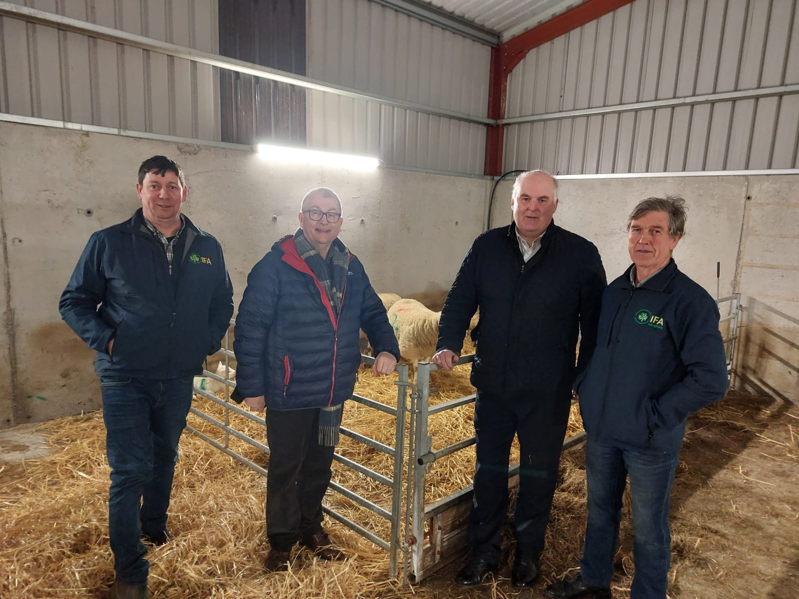 Worrying times for Longford sheep farmers Longford Live