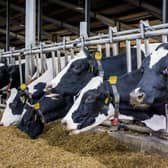 The ICSA’s Life Focus group has had contact from several farmers who are worried about their finances. File photo.
