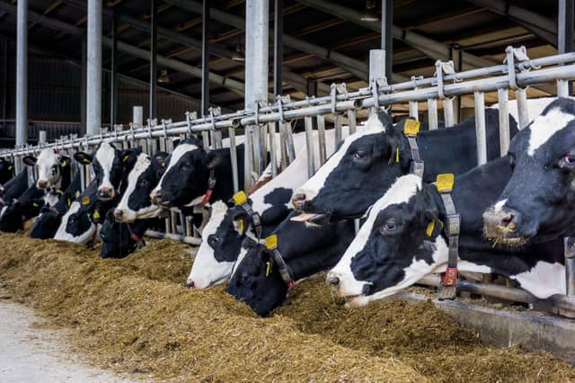 The ICSA’s Life Focus group has had contact from several farmers who are worried about their finances. File photo.