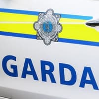 Two people hospitalised following North Longford car crash