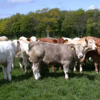 Longford Farming: Minister unveils €46m fertiliser aid scheme
