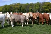Longford TD Micheál Carrigy said the Middle East volatility has had a big  impact on Irish farm input.