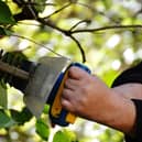 Under Section 40 of the Wildlife Act 1976, it is generally illegal to cut, grub, burn or remove vegetation growing in hedges and ditches between March and August.