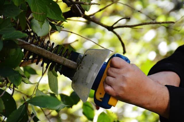 Under Section 40 of the Wildlife Act 1976, it is generally illegal to cut, grub, burn or remove vegetation growing in hedges and ditches between March and August.