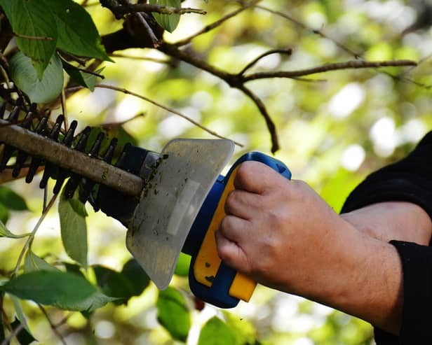 Under Section 40 of the Wildlife Act 1976, it is generally illegal to cut, grub, burn or remove vegetation growing in hedges and ditches between March and August.